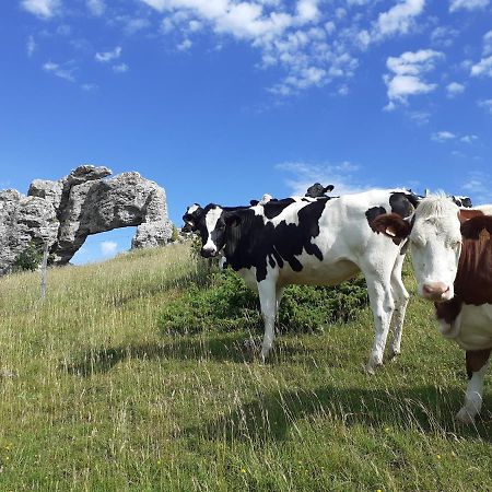 Maison De Campagne A L'Etage Ser-Sigaud Exteriér fotografie